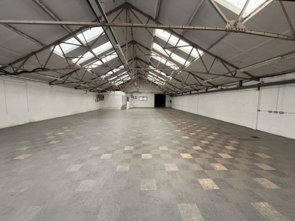 487ea0e1 5384 4812 8899 90062b0ea3f3_web