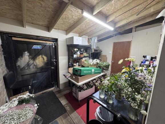 9e251655 5f1b 4b36 8546 d6c2b59d0a65_web