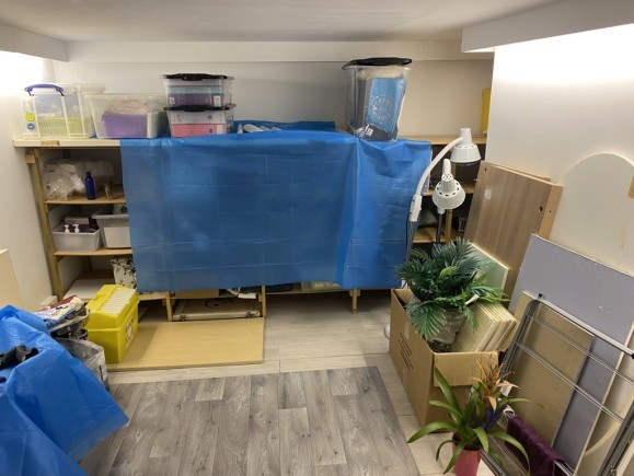 22ba2abf 8755 48bf b0cb 10409f2dcd2b_web