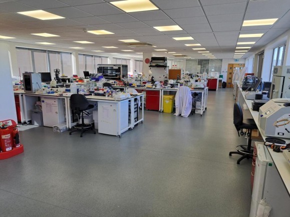 81cf06bd 214b 4052 a54b 14016ed0cfba_web