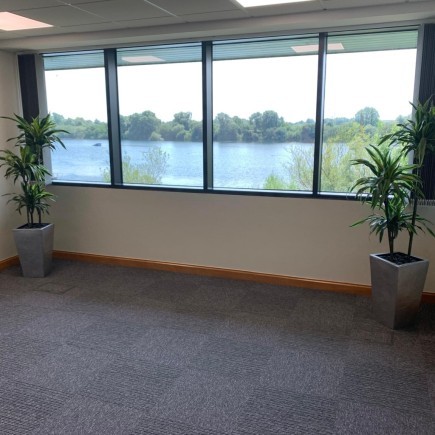 50fa25a7 b6fe 42fa 969b 60b1504c633a_web