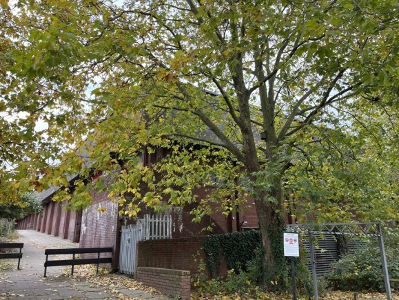 8308b964 aedb 403a 9282 7366f9ca49ad_web