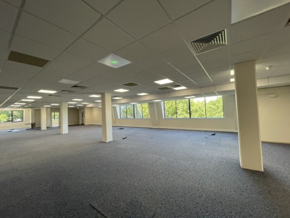 135ce258 ab9a 4324 8868 e62dc83d06c1_web