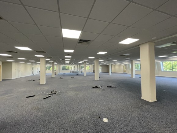 9d389281 4878 435d 91ee 7b5db7656264_web