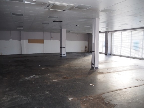 87c32a37 c438 4ddf af81 219dc809528f_web