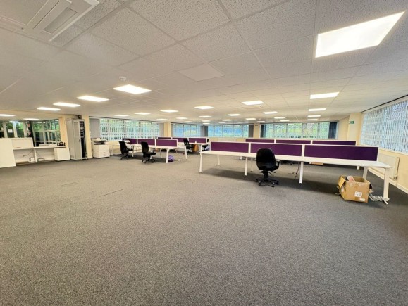 a912870d 0324 4413 a13c f560400590ba_web