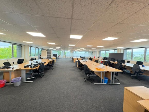 d955e586 a6fb 46d5 bbc2 7e45cde85b75_web