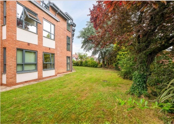 11caec46 c600 445d 92e9 d86be904de22