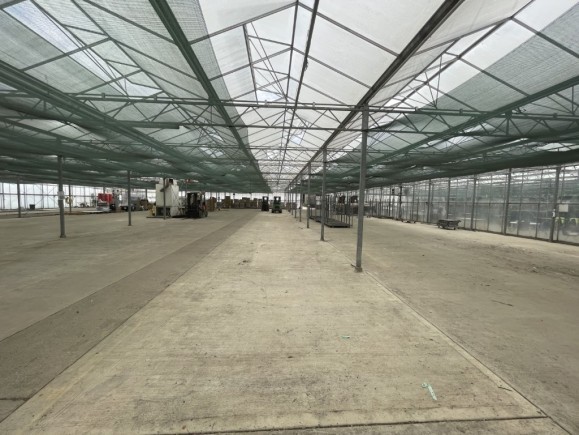 24f64e75 42db 4cee 991e fcb2ca484284