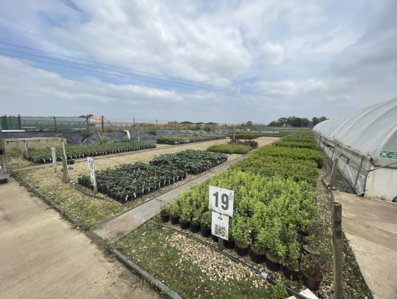 3be7343f 4071 464c 9f43 3b816b721538