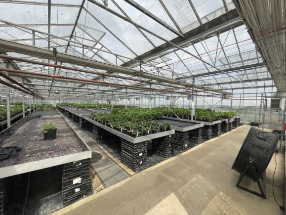 6a0c40af 5bdb 4337 b08d 32797a29e7ec