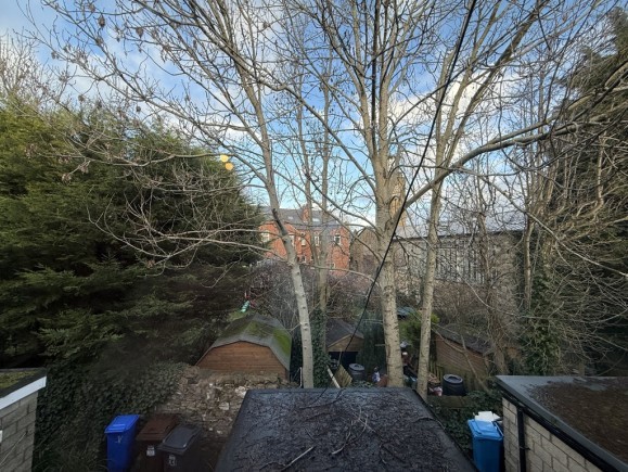 9a299cfa e341 4e93 b759 66ff85ccab4e_web