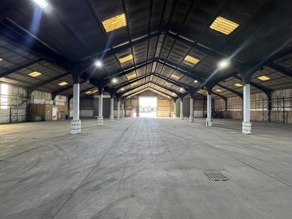 c6f71f6b e77a 4a35 aaf3 533281059e35