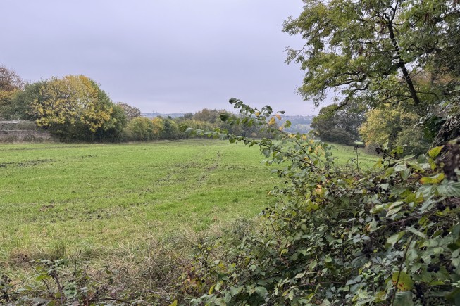 868f425b a0ff 4bc6 bc1f e192827f60c2