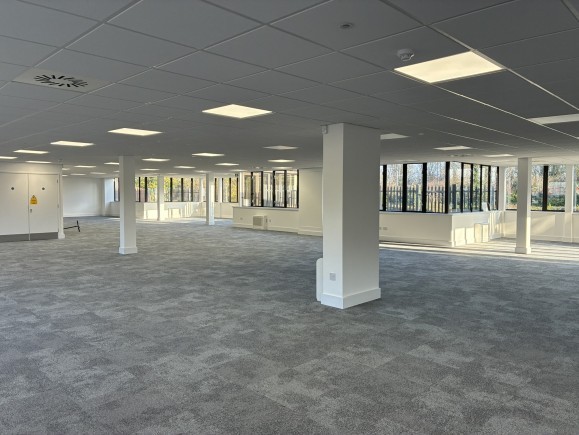 19c61bfb 62cd 48c2 8c9c 18ee4bd4ab50