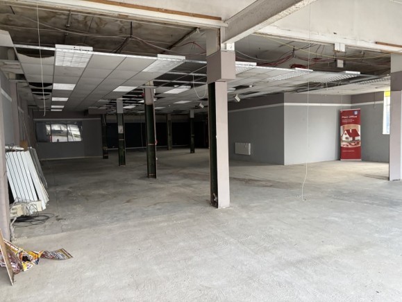 22a1c67f c824 420e 883c 75f2efcd710d_web