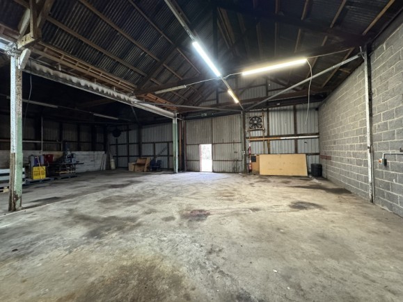 d7f43a3d a09f 4954 9461 49c6cb90c658_web