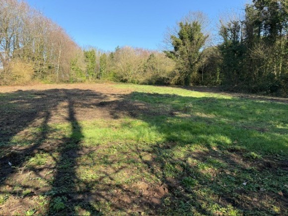 53767daa 9032 491f 8771 c861c596d2d8_web