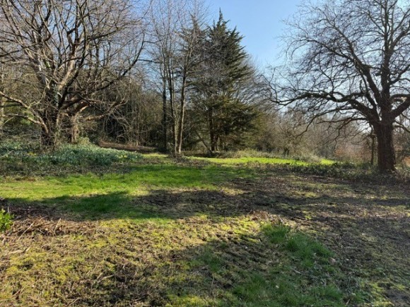 b7e6233f 039d 459e aeeb 9b11f950be22_web