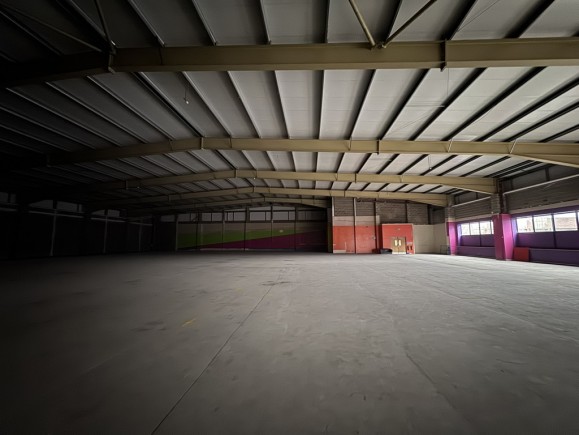 44f95755 7f08 46a0 9210 c4e426d5e73d_web