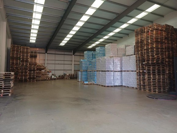 3565c517 e999 49ca b255 97bf2678e104_web