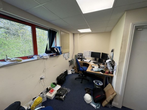 80d42177 92c6 459d 8390 beda18f74a21_web