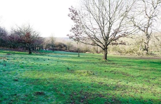 af3fb043 023d 4e0a b62a f18af0eb3d7d_web