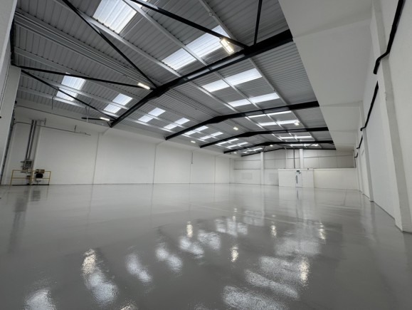 2b95159f 6fbe 4338 a34c 44fd09c5d45c_web