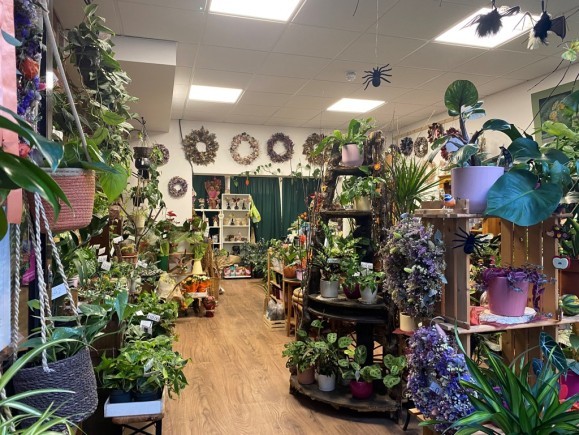 06a3db11 01df 4ebd 84b9 c8bc9bebecb6_web