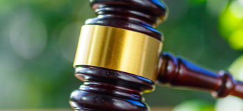 sustainable auctions