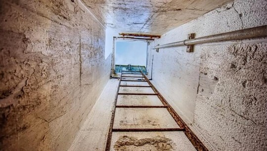 Ladder