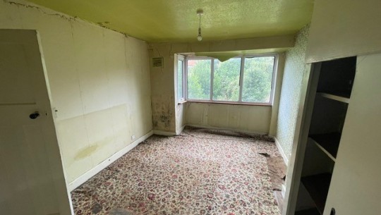 93 Millfield Road   green room