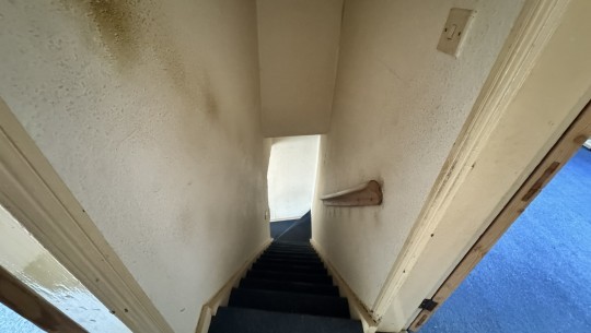 14 Esdelle Street   landing