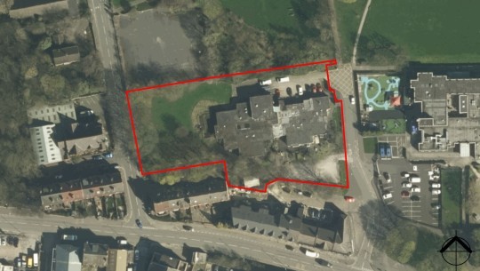 Strawberry Lane