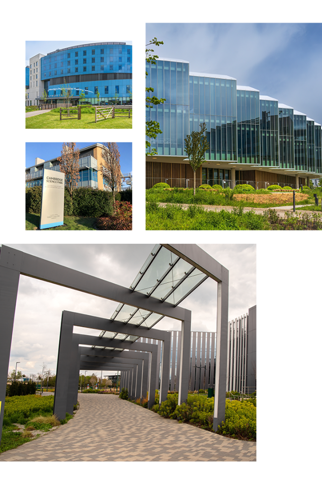 Template Cambridge 3