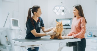 Female Holding Pet at Doctor's Appointment (1)