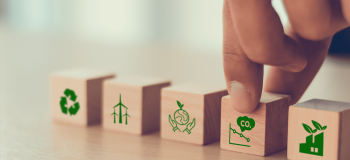 greencubes shutterstock