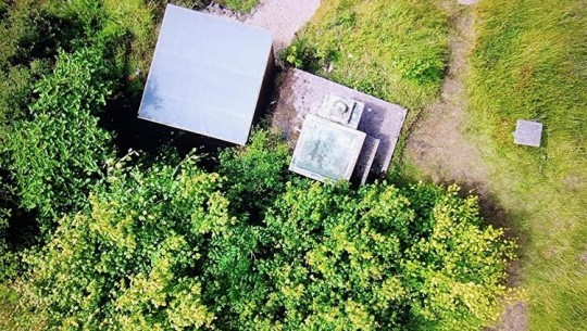 Birdseye