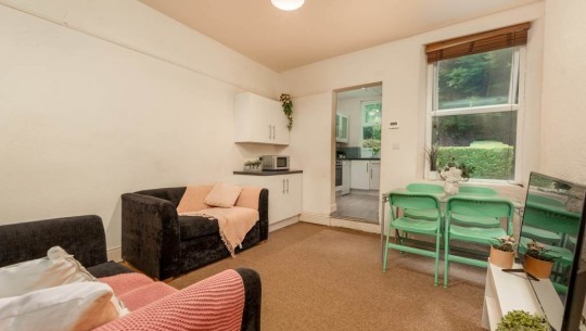 196 Crookesmoor Road   living room