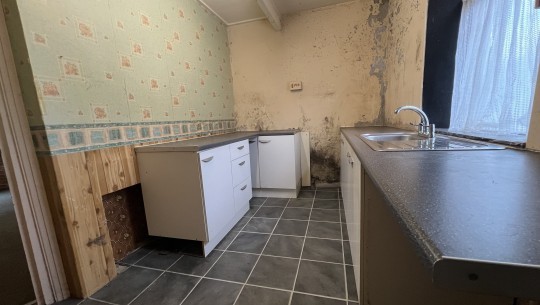 Nelson Place   kitchen