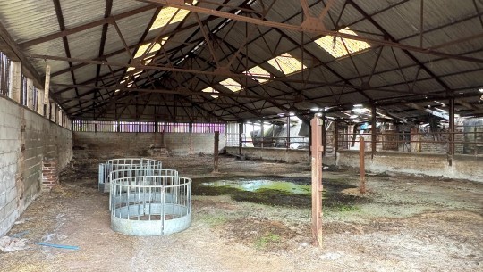 Stockley Farm   farm