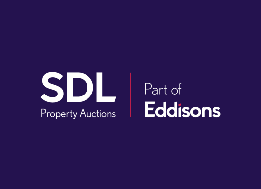 SDL square purple