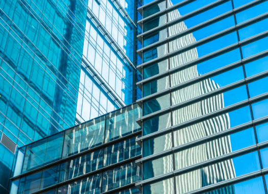 management and insurance