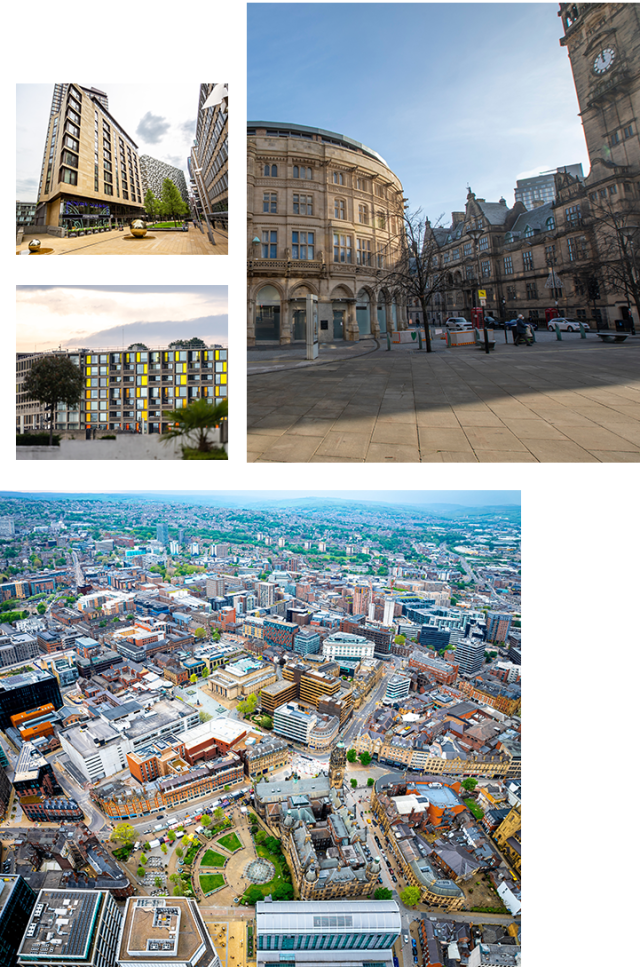 Sheffield Artboard 3